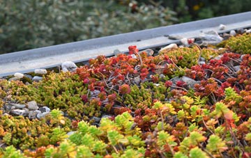 the cost of Slade Heath green roof installation