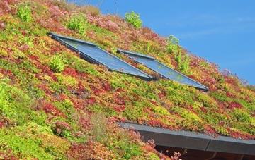 Slade Heath living roof systems