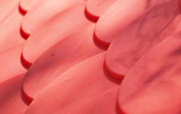 Slade Heath plastic roof costs