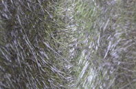 Slade Heath fibreglass roof work